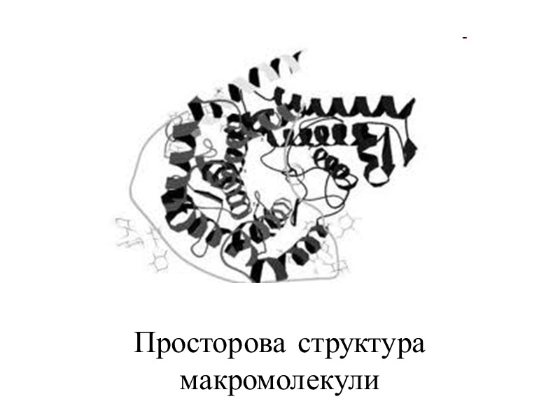 Просторова структура макромолекули